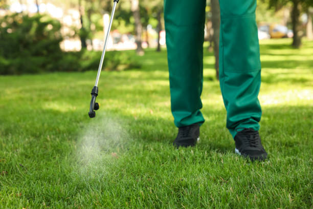 Best Pest Control for Businesses  in New Berlin, IL