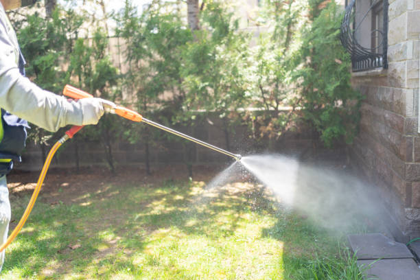Best Wasp Removal Services  in New Berlin, IL