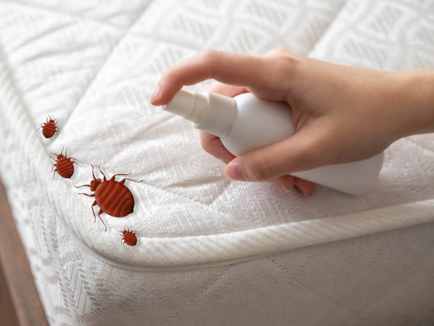 Flea Control Services in New Berlin, IL