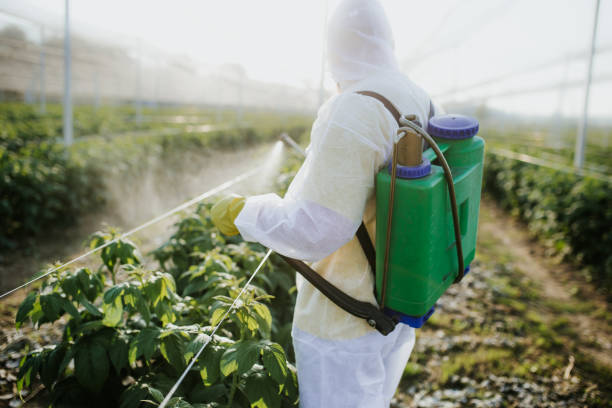 Best Affordable Pest Control Services  in New Berlin, IL
